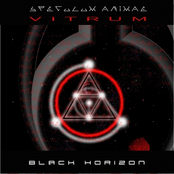 SPECULUM ANIMAE (VITRUM-NEDERLANDS)