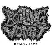 DEMO 2022
