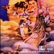 Extraordinary Popular Delusions and the Madness of Crowds