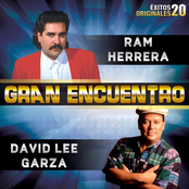 Ram Herrera: Gran Encuentro (20 Éxitos Originales)