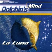 Dolphin's Mind