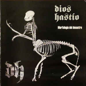 Morfologia Del Desastre