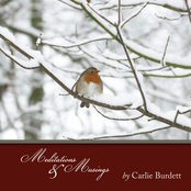 Meditations & Musings