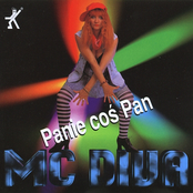 Panie Coś Pan