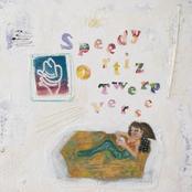 Speedy Ortiz: Twerp Verse