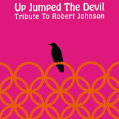 Up Jumped The Devil: Tribute To Robert Johnson