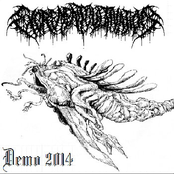 Demo 2014