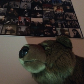 Pilots Of The Caribbean