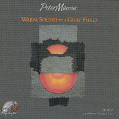 Warm Sound In A Gray Field by Peter Maunu