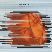 Pamela Z: Pamela Z: A Delay Is Better