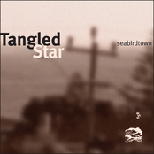 seabirdtown Single