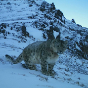 ritmada da autoajuda