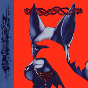 Hound in a Hurricane