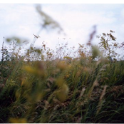 To the island/something else