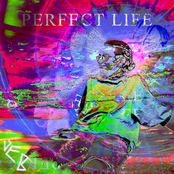 PERFECT LIFE