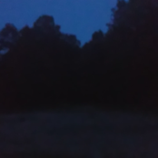 Dimension 27939: Terydgia Forest