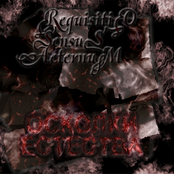 Осколки Естества