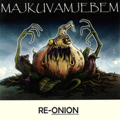 Re-Onion