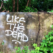 Like the Dead