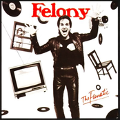 The Fanatic by Felony