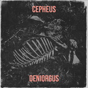 Cepheus