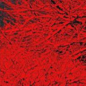 De la Haine des Jours