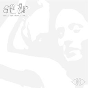 Until the Dust Lies...