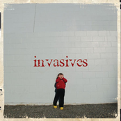 Who You Are by Invasives