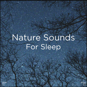 !!" Nature Sounds for Sleep "!!