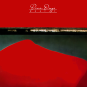 Dixie Dregs: What If