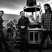 them crooked vultures