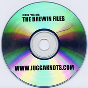 The Brewin Files