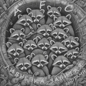 Ливнёвка, забитая енотами