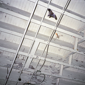 100% Take Home!/Good Morning