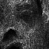 Old tunes - new tunes