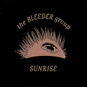 You Should Smile But You Cry by The Bleeder Group