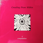 Crawling From Within