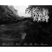 Wounds Can Heal...But The Scars Remain