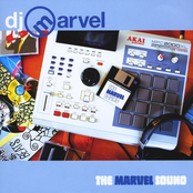 dj marvel