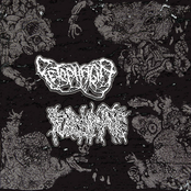 Fetophagia / Fulminate split - "Cyborg Putrid Death Swamp "