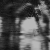 Prehistoric Sunlight