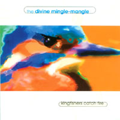 Kingfishers Catch Fire