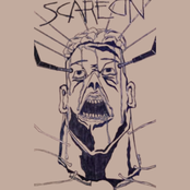 Scarecin