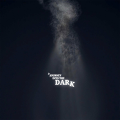 A Journey Into the Dark