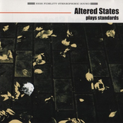 The Shadow Of Your Smile by Altered States