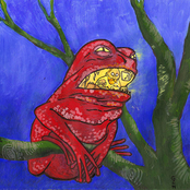 Fauna del Bosque Rojo