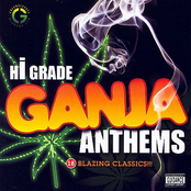 Hi Grade Ganja Anthems