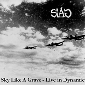 Live in Dynamic (2008)