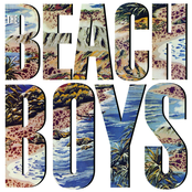 The Beach Boys