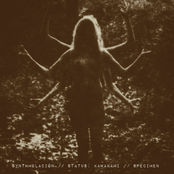 Synthmolación / / Status: Kawakami / / SpecImEn